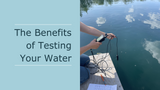 Crystal Clear: Top 5 Reason to Test your Pond Water