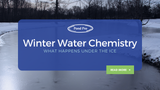 Winter Water Chemistry: What Happens Under the Ice