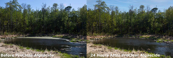 Before and after using proclear algaecide, excellent results in 24 hours!