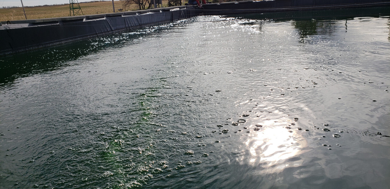 Kasco de-icer and Can-Air bubble aeration tubing in Canadian waterway