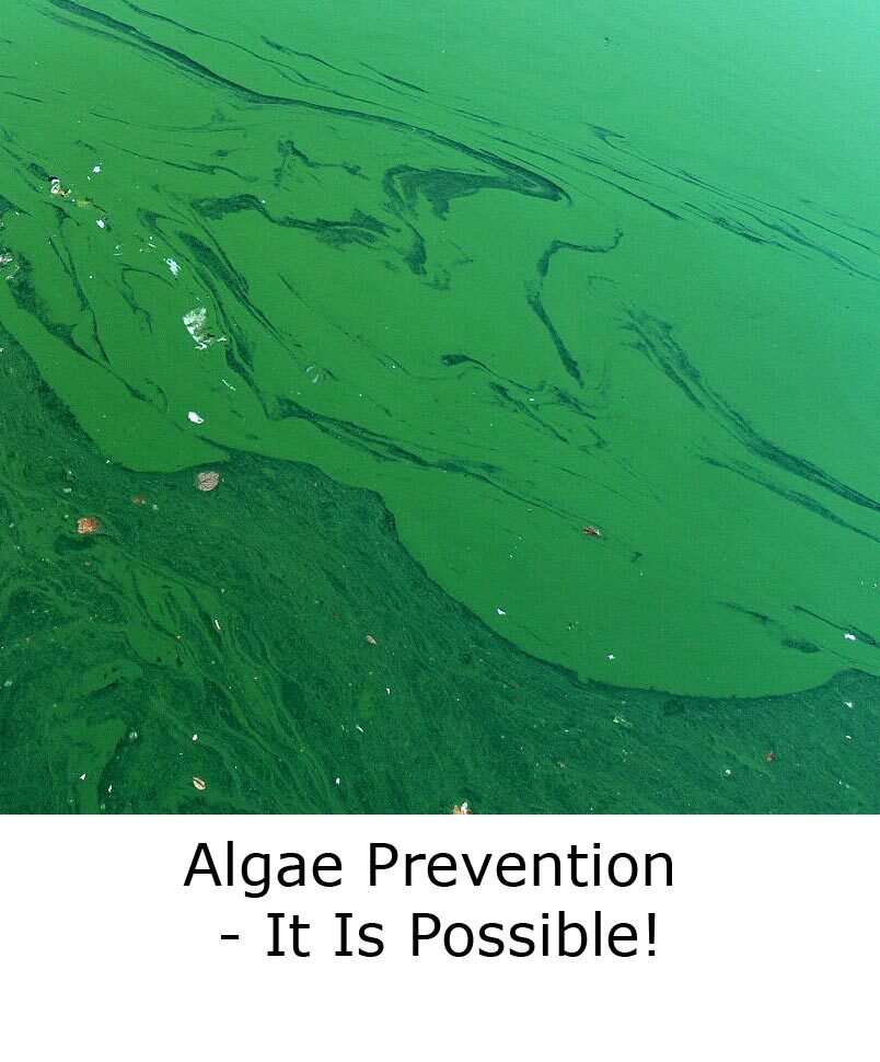 ALGAE PREVENTION - IT IS POSSIBLE! blog