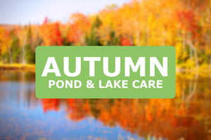 Autumn pond & lake care in canada