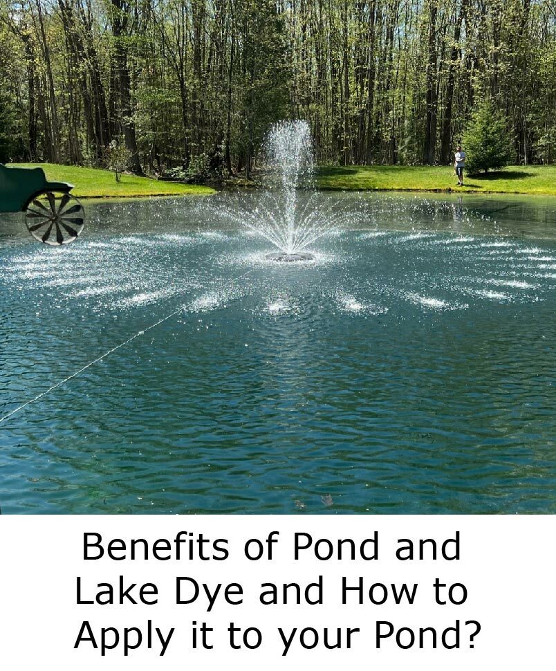 BENEFITS OF POND AND LAKE DYE AND HOW TO APPLY IT TO YOUR POND? blog