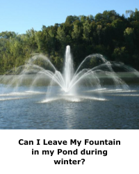 Can I Leave My Fountain in my Pond during winter?