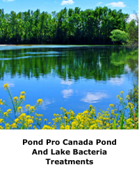 Pond Pro Canada Pond And Lake Bacteria Treatments