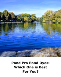 Pond Pro Pond Dyes: Which One is Best For You?