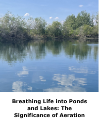 Breathing Life into Ponds and Lakes: The Significance of Aeration