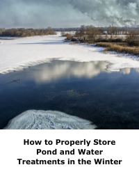 How to Properly Store Pond and Water Treatments in the Winter
