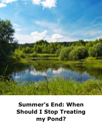 Summer's End: When Should I Stop Treating my Pond?