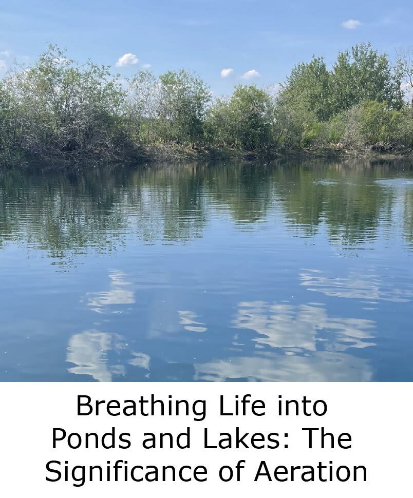  BREATHING LIFE INTO PONDS AND LAKES: THE SIGNIFICANCE OF AERATION blog