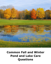 Common Fall and Winter Pond and Lake Care Questions