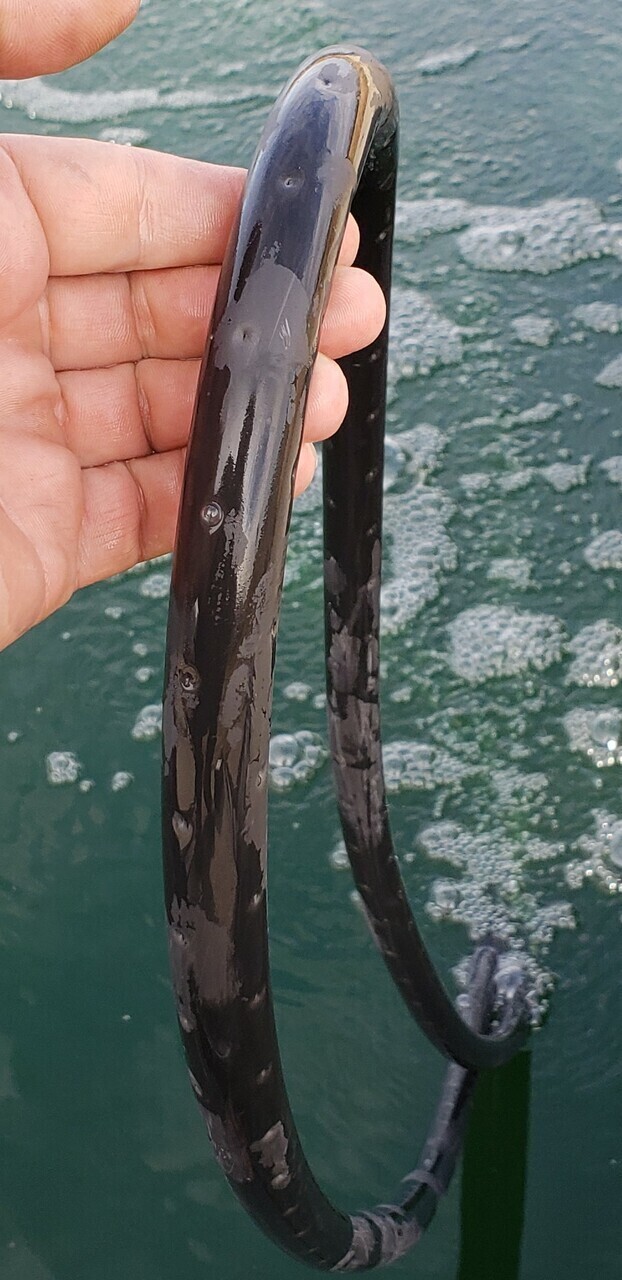 Can-Air Bubble Aeration tubing in Canadian pond