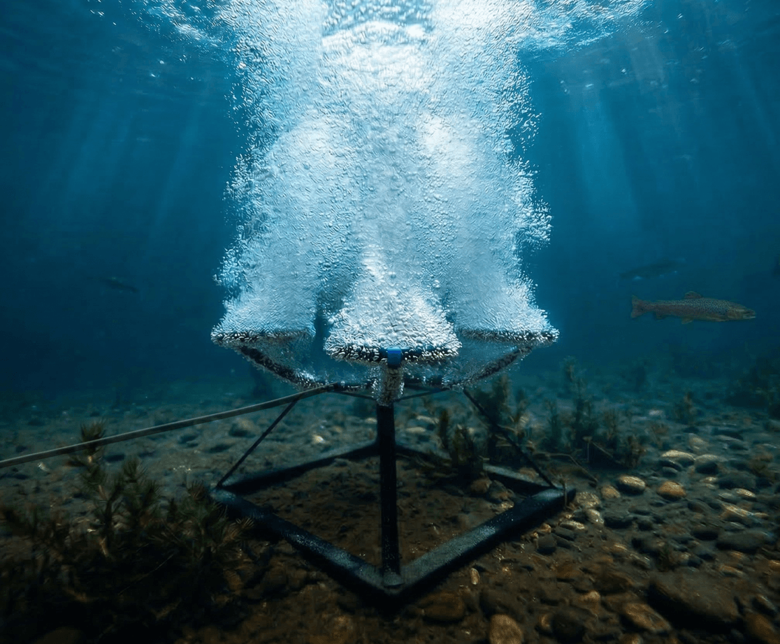 Pond Pro Canada Diffuser Platform Aeration System