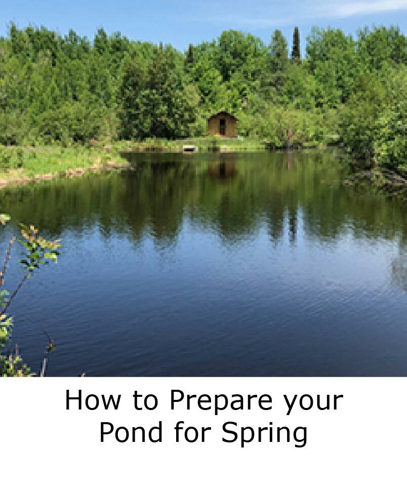 HOW TO PREPARE YOUR POND FOR SPRING blog