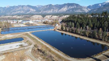 Backyard Water Gardens
