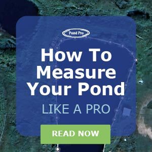 Tips and Tools for Measuring Pond Area and Volume Like a Pro blog