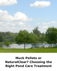 mick pellets or naturalclear? choosing the right pond care treatment