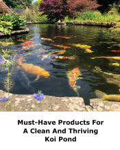 Must-Have Products for a clean and thriving koi pond