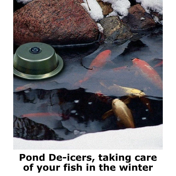 Pond De-Icers, taking care of your fish in the winter in Canada