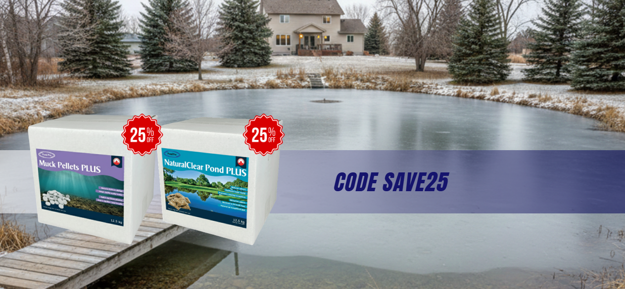 Flyer Promotion Save 25% off Pond Bacteria
