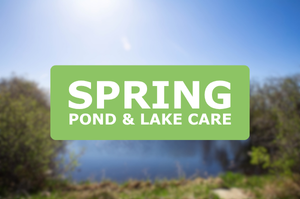 Spring pond & lake care in canada