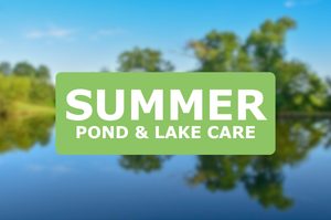 Summer pond & lake care in canada