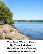 The Best Way to Clean Up Your Lakefront Shoreline for a Cleaner, Healthier Waterfront