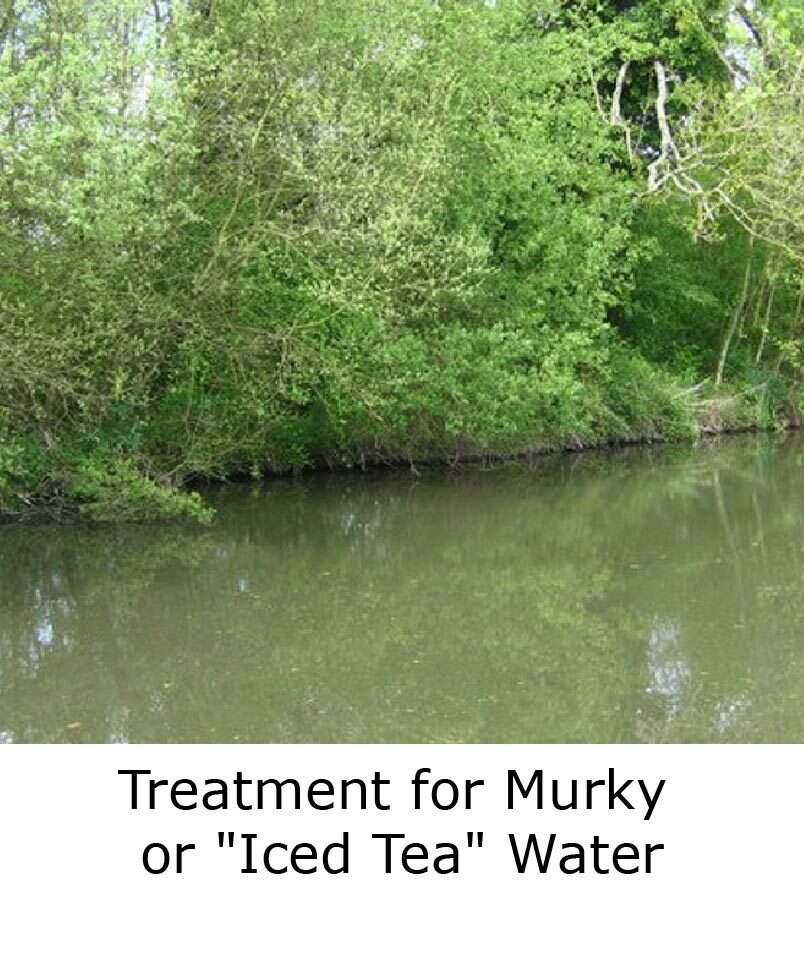 Treatment for Murky or "Iced Tea" Water blog