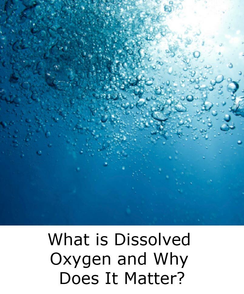 What is Dissolved Oxygen and Why Does It Matter? blog