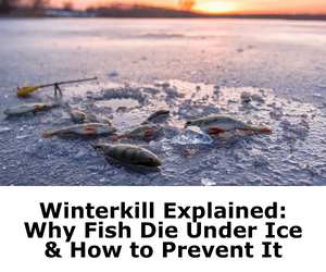 Winter Survival Guide for Pond Fish In Canada, why fish diue under the ice and how to prevent it