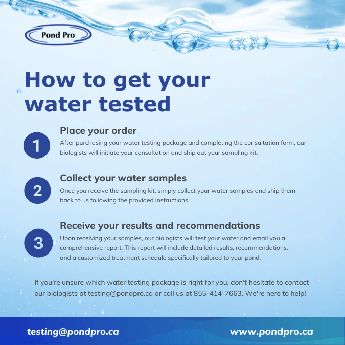 2024-how-to-get-your-water-tested.png