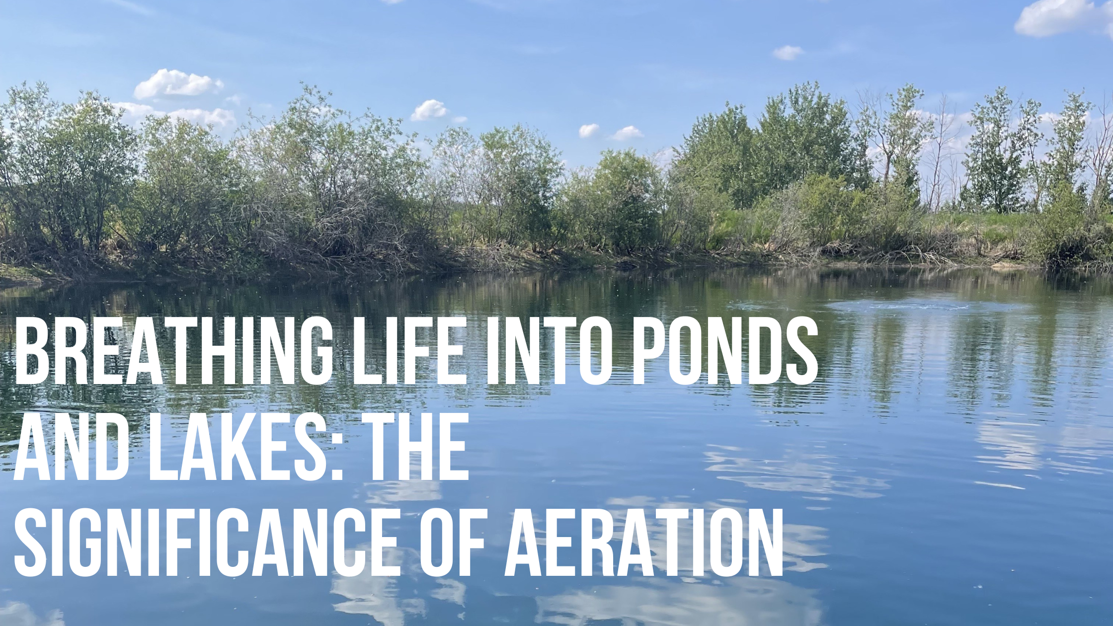breathing-life-into-ponds-and-lakes-the-significance-of-aeration.png
