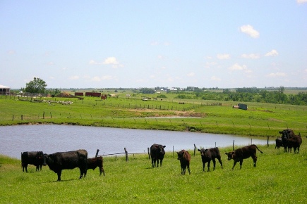 cattle-dugout-aeration-1.jpg