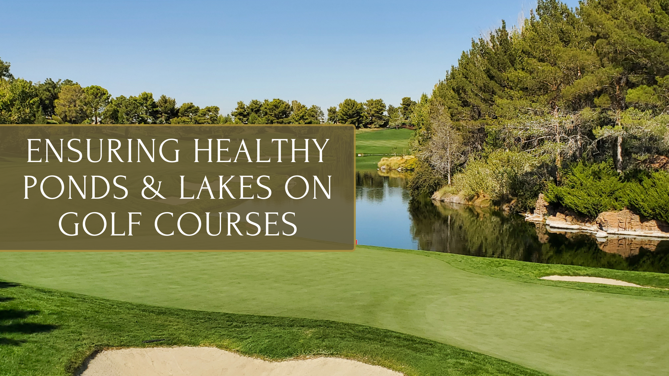 ensuring-healthy-ponds-lakes-on-golf-courses.png