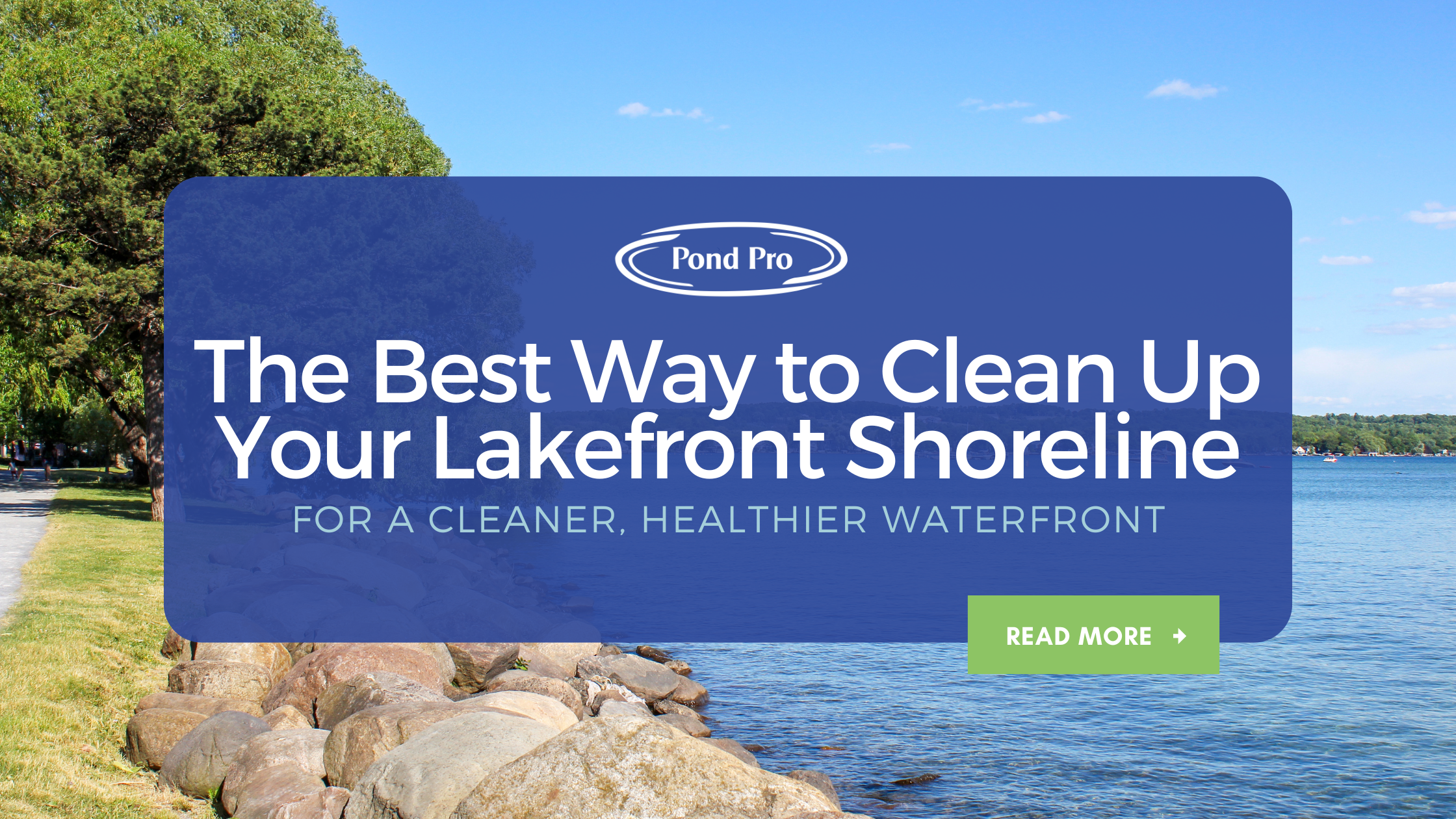 The Best Way to Clean Up Your Lake Front Shoreline for a Cleaner ...