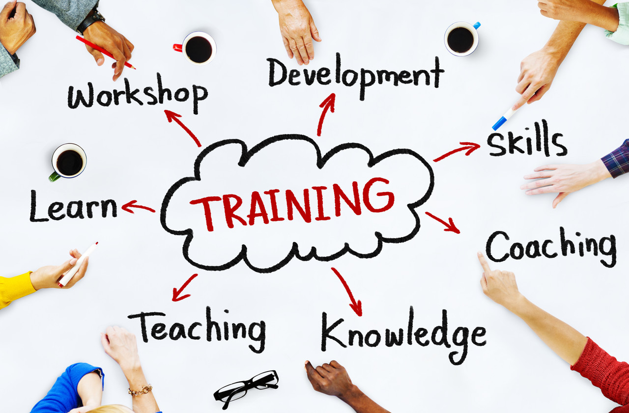 Consults And Training