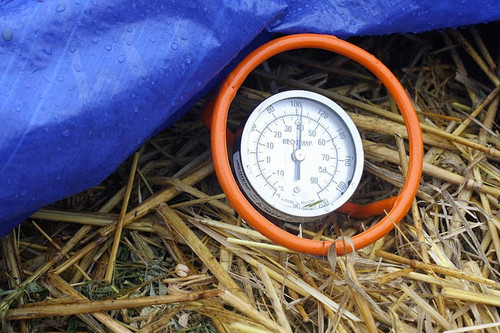 Gardening/Home Composting/Schools and Community Programs, Compost Dial  Thermometer - 3JPN4