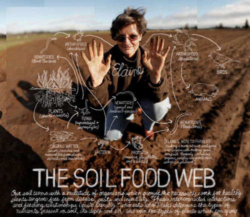 Soil Foodweb  by Dr. Elaine Ingham