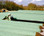 Windrow covers