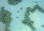 EM1 Effective microorganisms