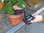 Test moisture with the FieldScout TDR 100