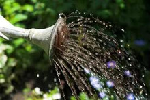 water your plants with tea brewed in your own compost tea brewer