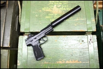 Sig P322 Tactical. Custom ACM XL 8” Suppressor. Sig Romeo 0 Red Dot