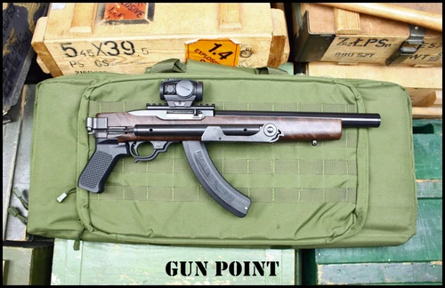 Ruger 10/22 SBR Tactical Integrally Suppressed 22LR Sidefolder Form 3 EFile