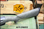 Custom Ruger 10/22 Integrally Suppressed Crimson Trace Tactical Solutions