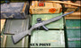 Custom Ruger 10/22 Integrally Suppressed Crimson Trace Tactical Solutions