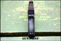 “The Black Scorpion” Glock 19 Gen 4 Gun Point Custom Shop G19 GEN4 9mm