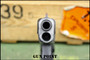 “The Silver Arrow” Gun Point Custom Shop Glock 34 Gen 4 Competition 9mm G34