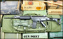 FN PARA 5.56mm 16” Barrel S&H Registered Sear S&H Build 