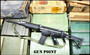 FN PARA 5.56mm 16” Barrel S&H Registered Sear S&H Build 